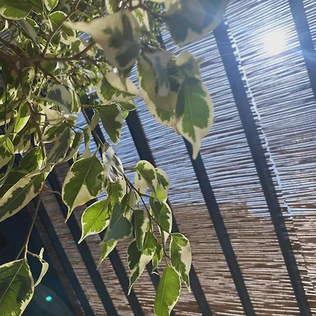 Boho Chic In Mpatsi! Apartmán Batsi