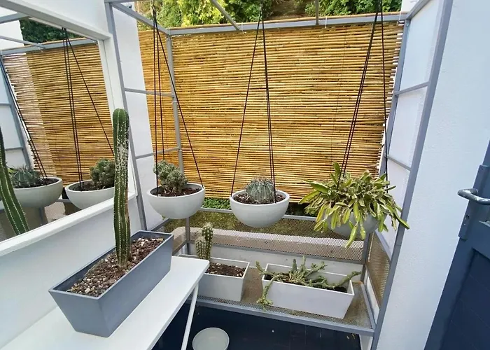 Boho Chic In Mpatsi! *